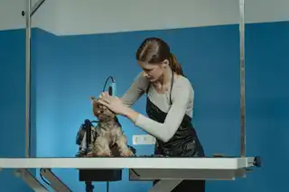 Анна Петрова Portfolio 3